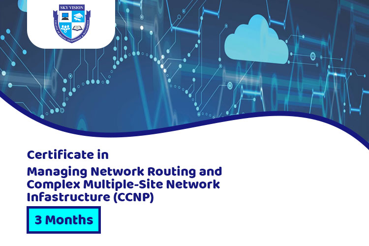 sky vision college Managing Network Routing and Complex Multi-Site Network Infrastructure (CCNP)